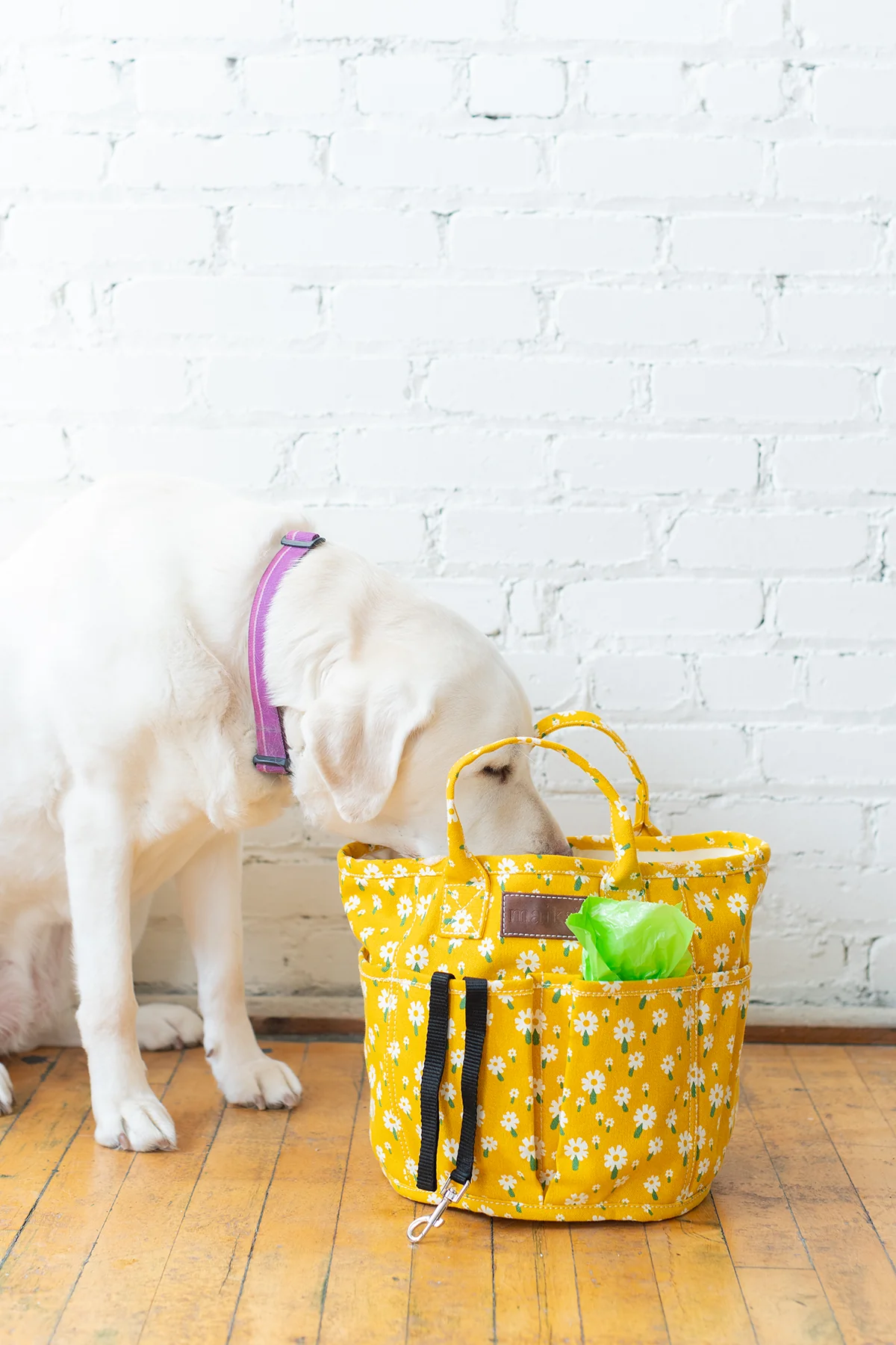 Project Tote - Carmel - Image 3